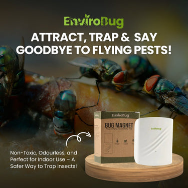 commercial fly traps image